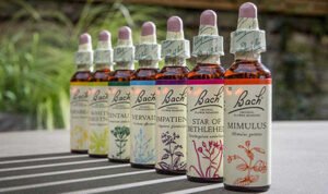 Flores de Bach Mataró y Maresme