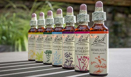 Flores de Bach Mataró y Maresme