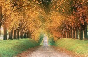 Tratamiento Menopausia en Mataró