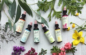 Curso Flores de Bach en Mataró