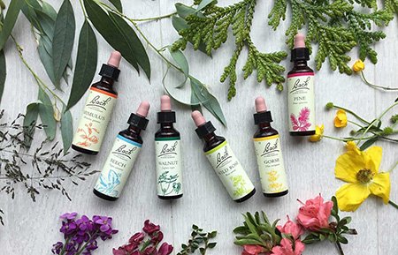 Curso Flores de Bach en Mataró